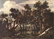 Jacob van Ruisdael The Marsh in a Forest china oil painting artist